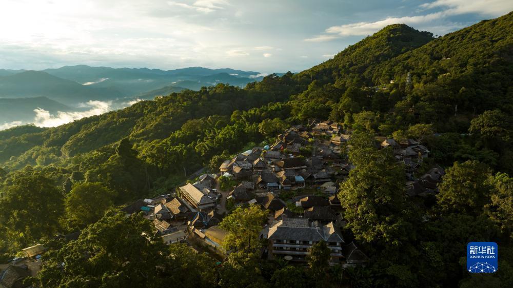 318全迅网送38彩金